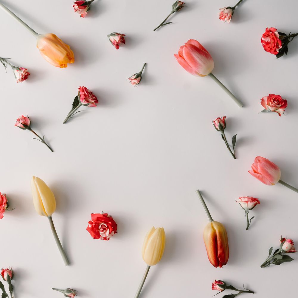 Colorful flowers pattern with copy space on light background