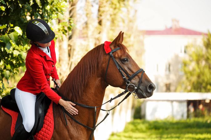 Pedigree horse with female horseback rider in red uniform
