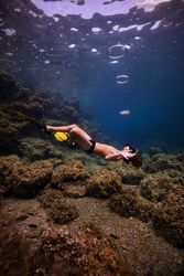 Unrecognizable guy swimming undersea in goggles and flippers