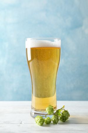 Mug with beer, spikelets and hop on wooden table, space for text