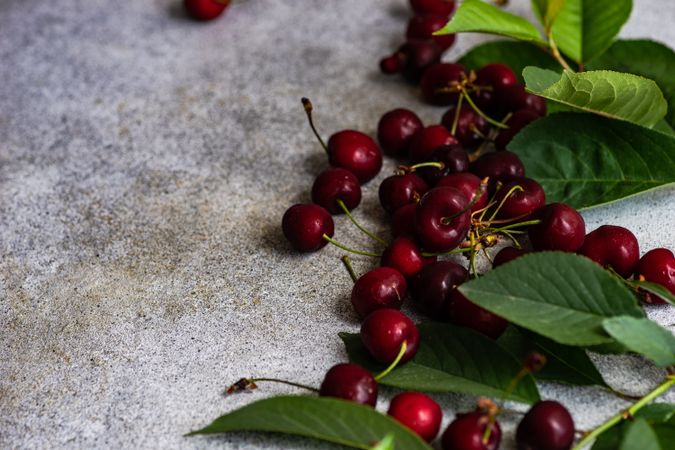Scattered sweet cherries on grey kitchen counter