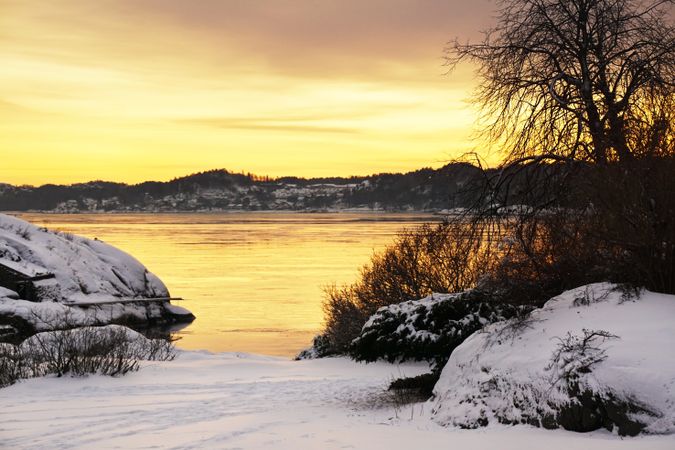 Bare tree silhouette at snowy riverside in sunset