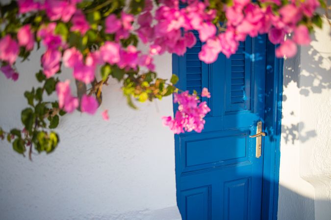 Blue door with pink flowers overhanging