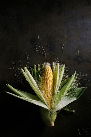 Phases of fresh corn peeling