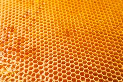 Honeycombs with sweet golden honey on whole background, close up