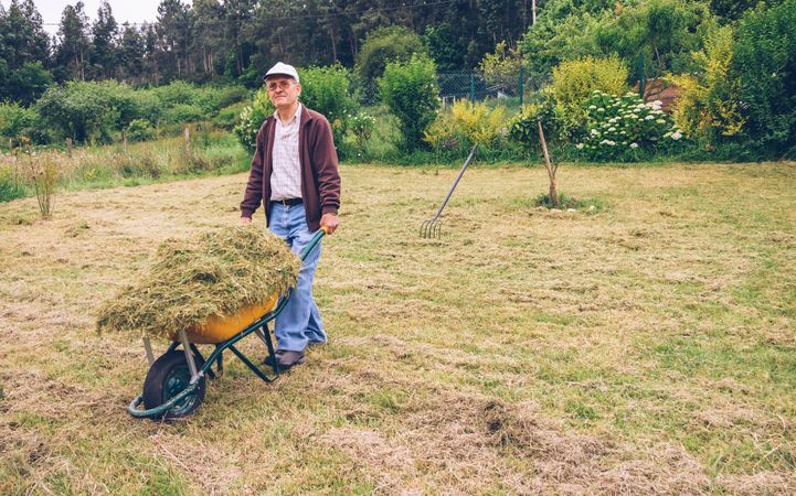 Mature man carrying wheelbarrow with hay on field