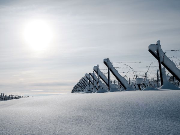 Alsace vineyards under heavy snow on a sunny winter day. Details and top view.