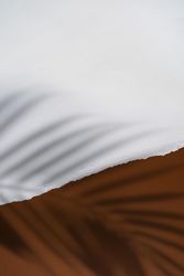 Tropical palm shadow over brown and light torn paper background