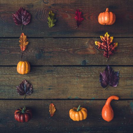 Creative autumn Halloween layout with various leaves and pumpkins in rows