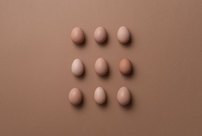 Brown eggs in symmetry display