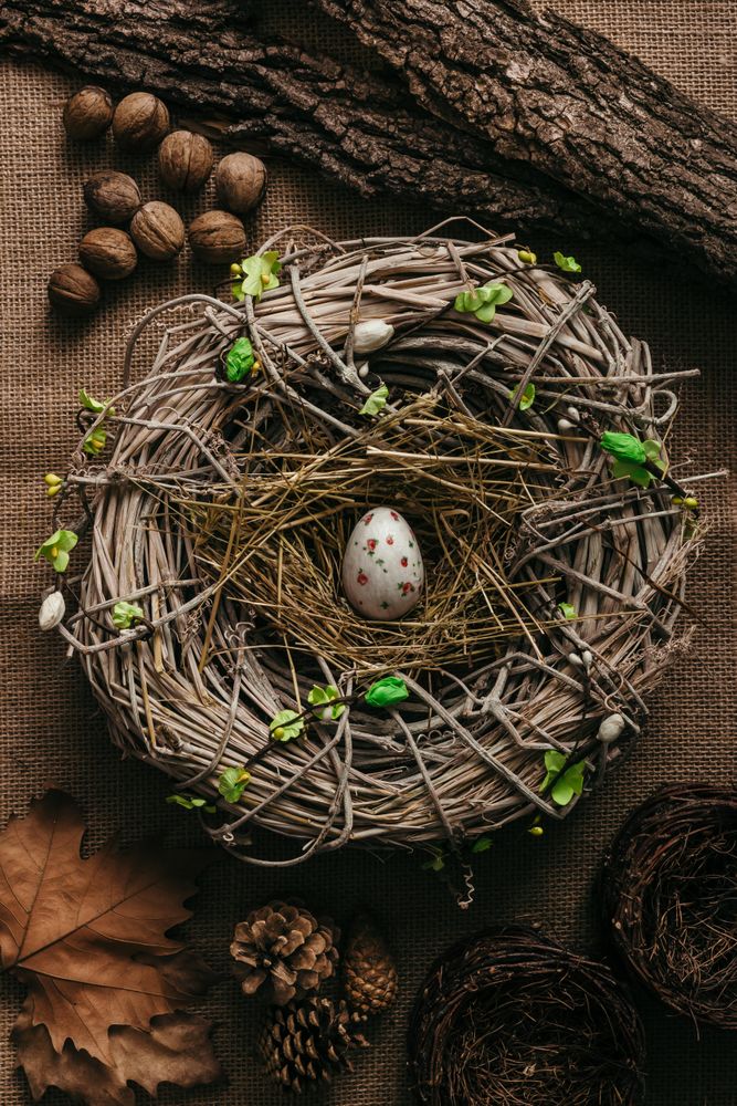 Decorated Easter egg in bird nest