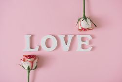 LOVE with two roses against pink background