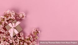 Cherry blossom with giftbox for springtime holiday season 5rwXd4