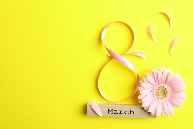 8 March, International Women's Day. Figure eight of pink ribbon with beautiful gerbera on yellow background. Space for text