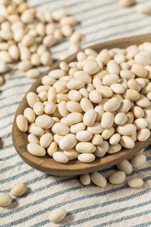 Organic Raw Navy Beans