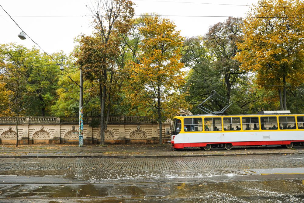 Rainy, autumn, city park in the morning