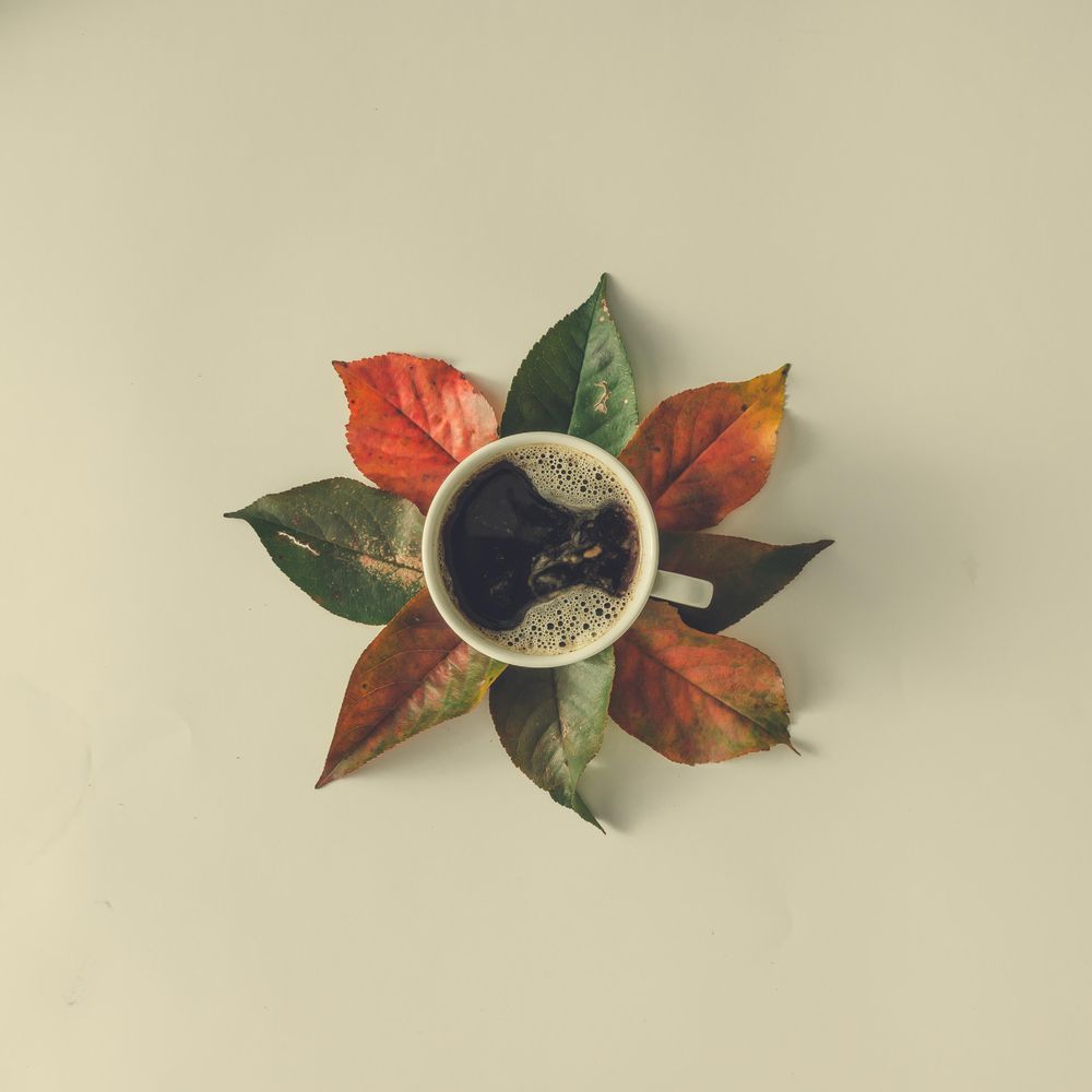 Autumn leaves and coffee cup on table