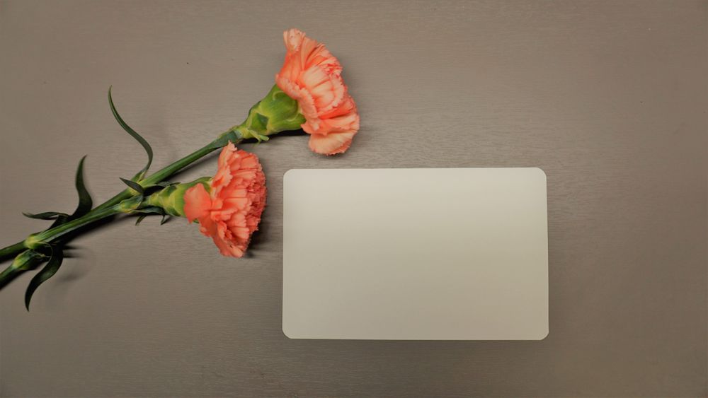carnation and letter