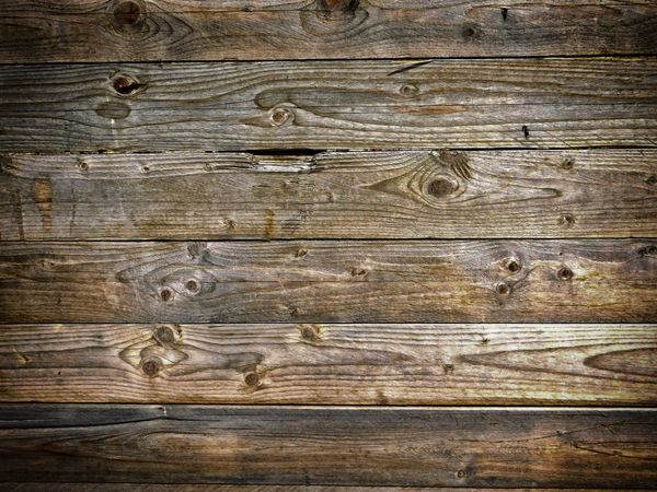 Dark Wood Texture In The Garden