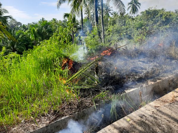 Roadside Grass Fire Spreading Due to Dry Weather in Tropical Area