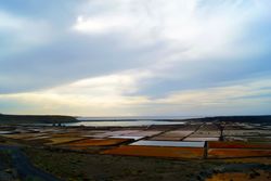 Amazing calm landscape of colorful bright fields