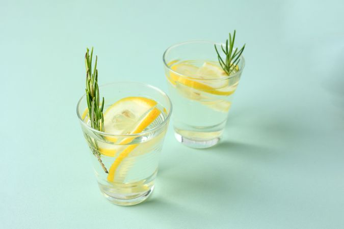 Fresh Lemon Rosemary Mojito