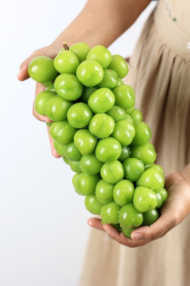Two Hands are Holding a Group of Shine Muscat Grape