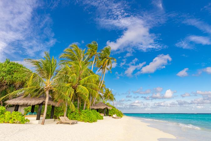 Thatched huts on the beach with palm trees, landscape