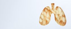 Banner with lung shape cut out of paper with dried rabbit tail underneath