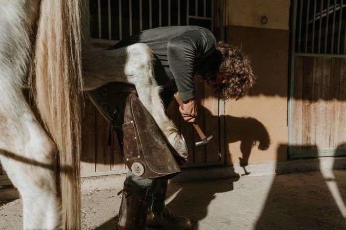 Man shoeing horse near stable