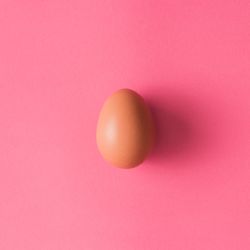 Brown egg on pink background