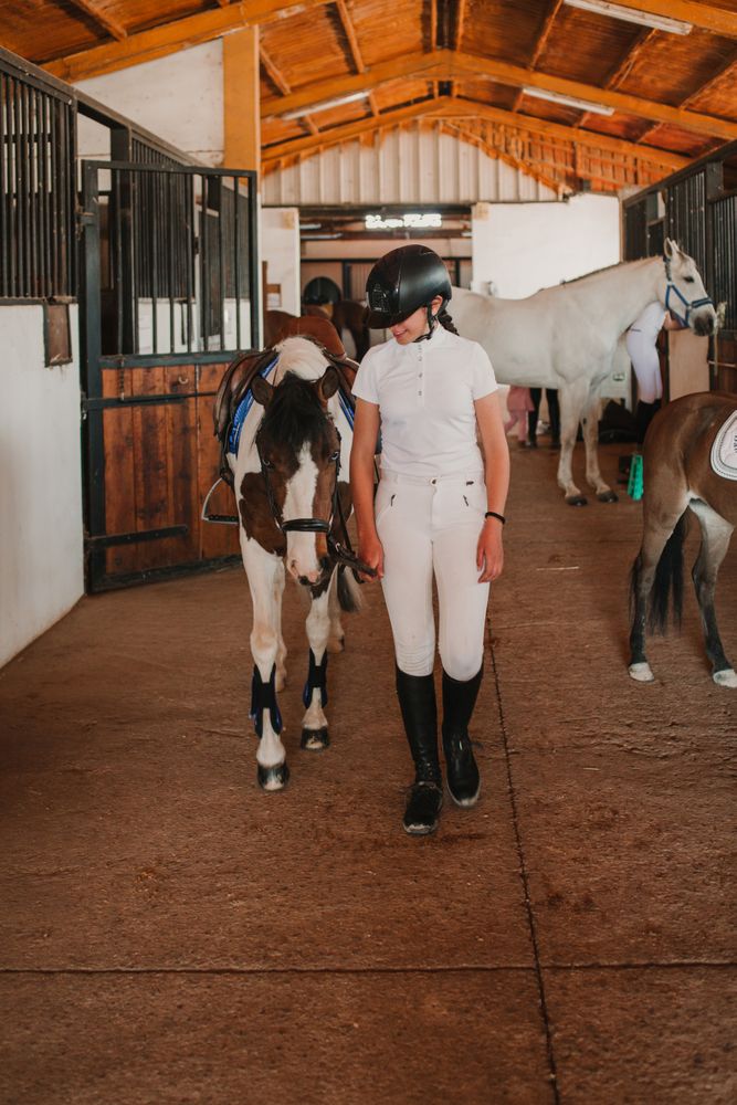 Jockey leading horse out of stable