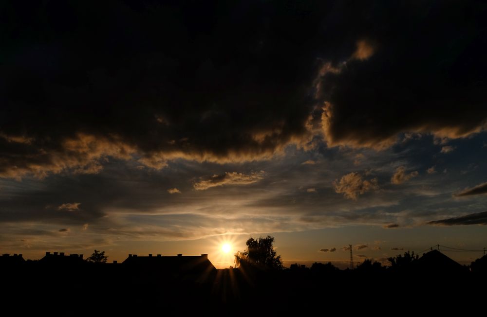 Golden sunset with tree and roof silhouetted