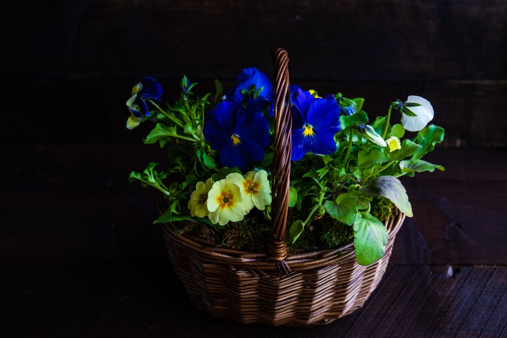 Basket of flowers