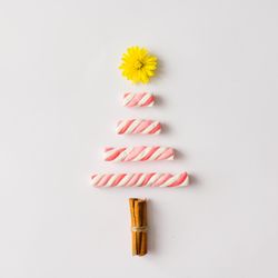 Christmas tree made of marshmallow candy, flower and cinnamon sticks