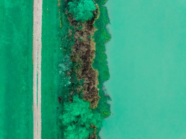 Top-down composition of nature.