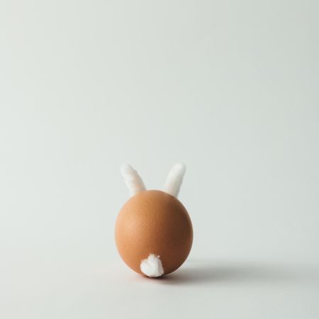 Egg with fluffy ears and tail
