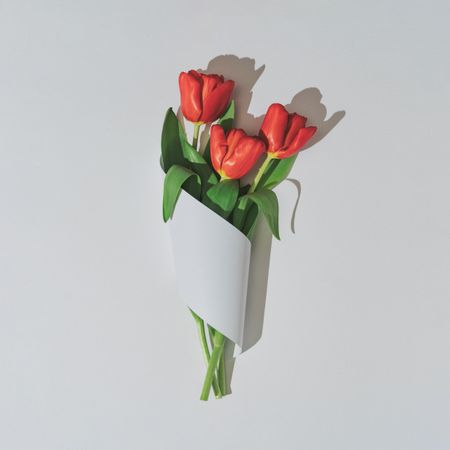 Tulips wrapped in light  paper card note