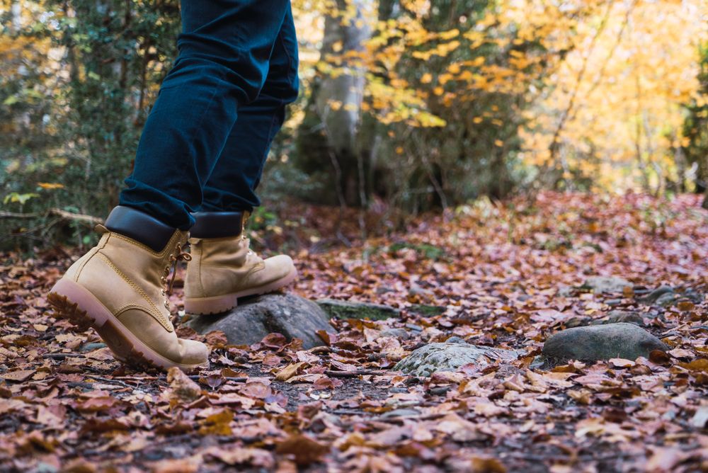 Legs of traveler in casual outfit exploring autumn forest