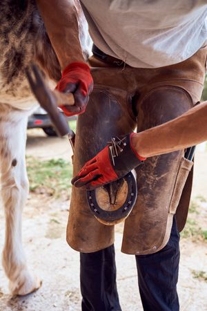 Farrier changing horseshoe in the stable