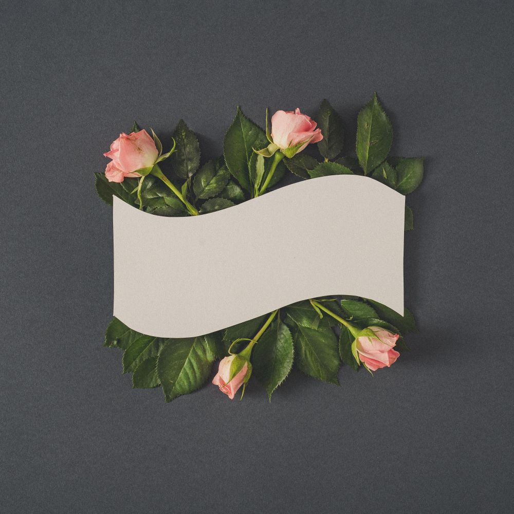 Paper card note with pastel pink rose flowers on dark gray background