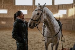 Rider with dapple gray horse in round arena
