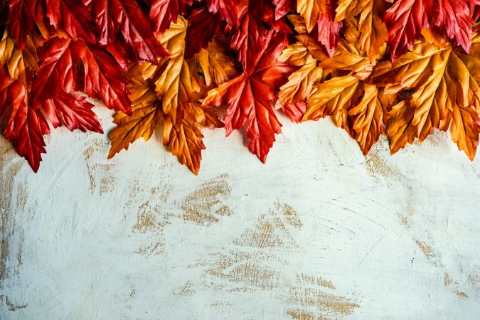 Rustic table with red and orange fall leaves