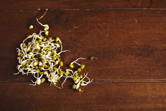 Bean sprouts on wooden table