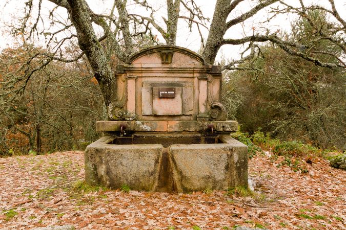 Old stone fountain in garden
