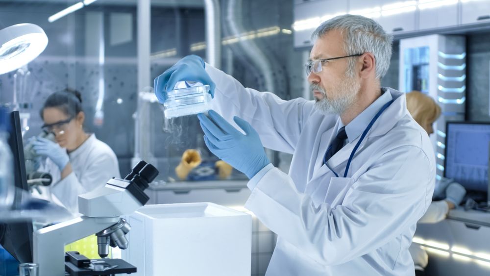 Medical Research Scientist Takes Out Petri Dish with Samples from Opened Refrigerator Box.