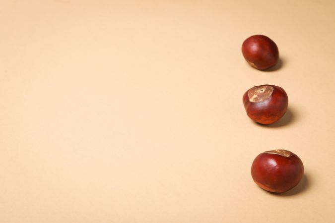 Fresh and ripe chestnuts, space for text