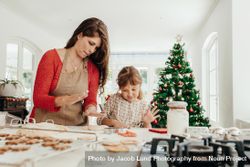 Mother and daughter cooking for Christmas 5oDVBk