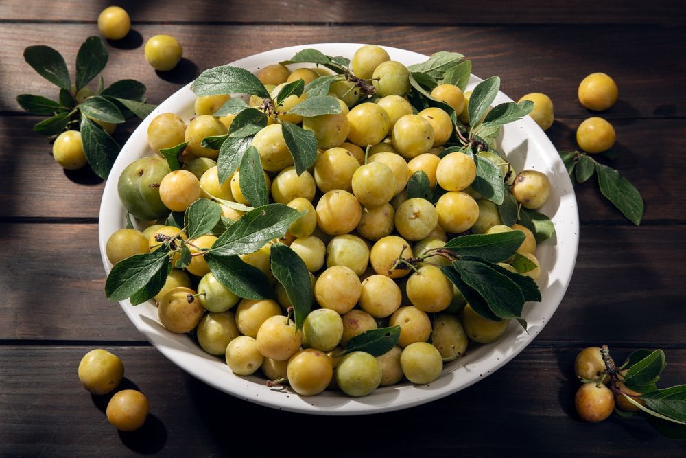 Yellow plum mirabelle