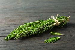 Green rosemary on wooden table, space for text